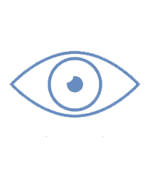 Vision